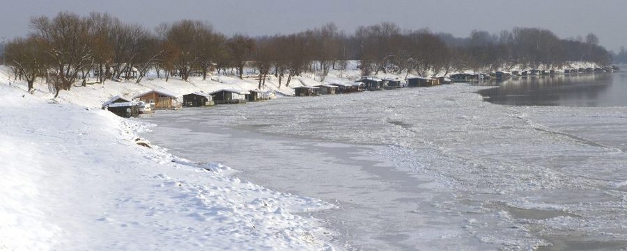 Zale�ena Sava 2012